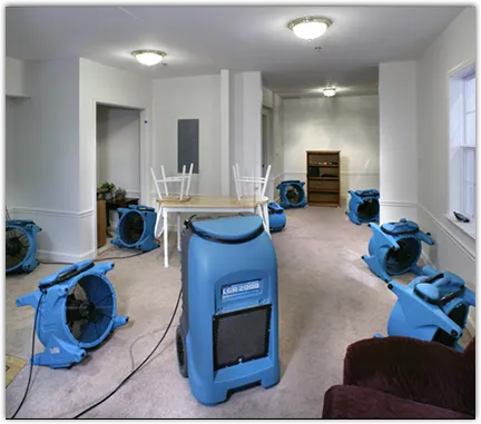 Water Damage Restoration services in Palmview, TX