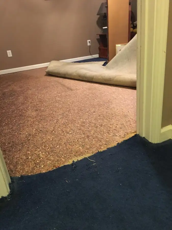 Carpet pad removal revealing water damage during Water Mitigation Services in Palmview