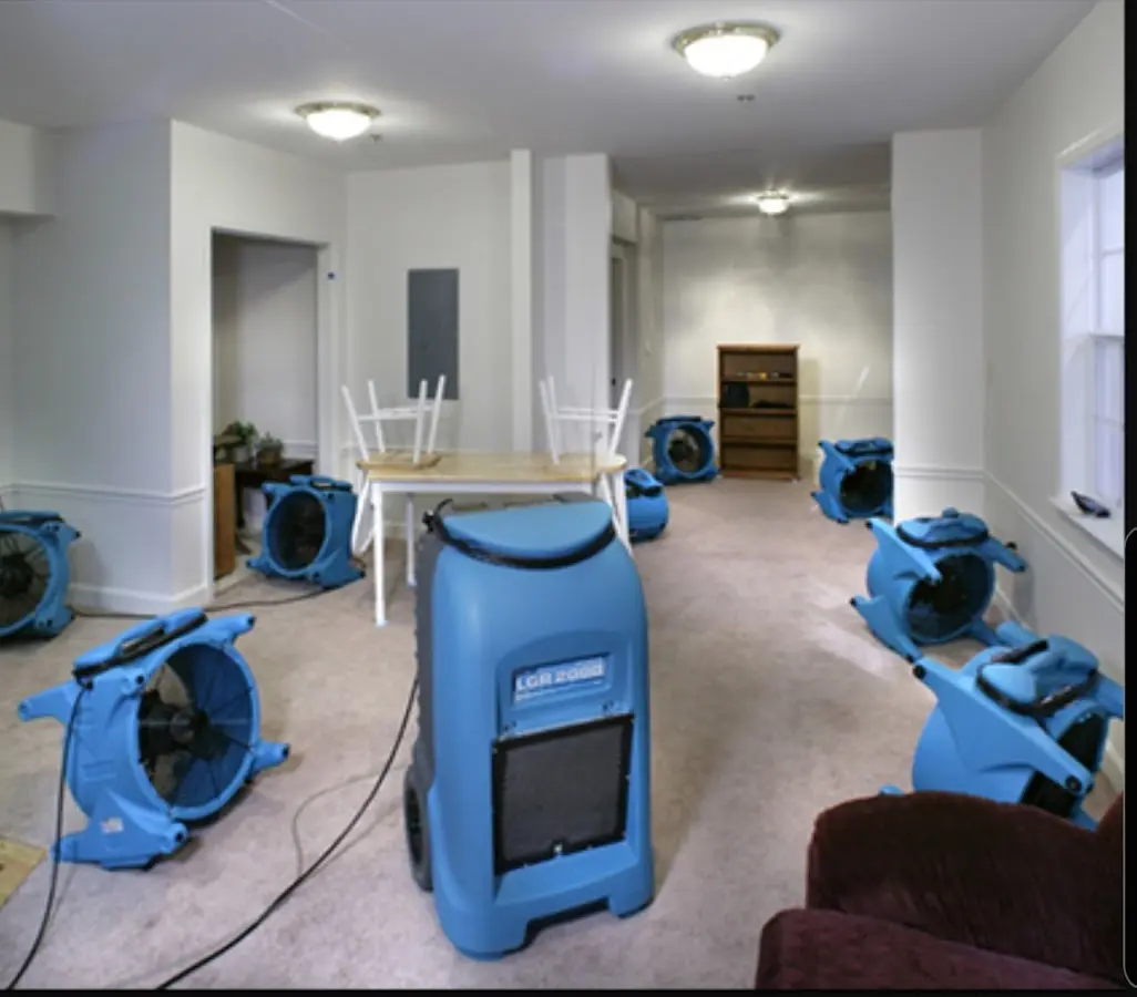 Air movers and dehumidifier setup for Water Extraction & Removal in Palmview