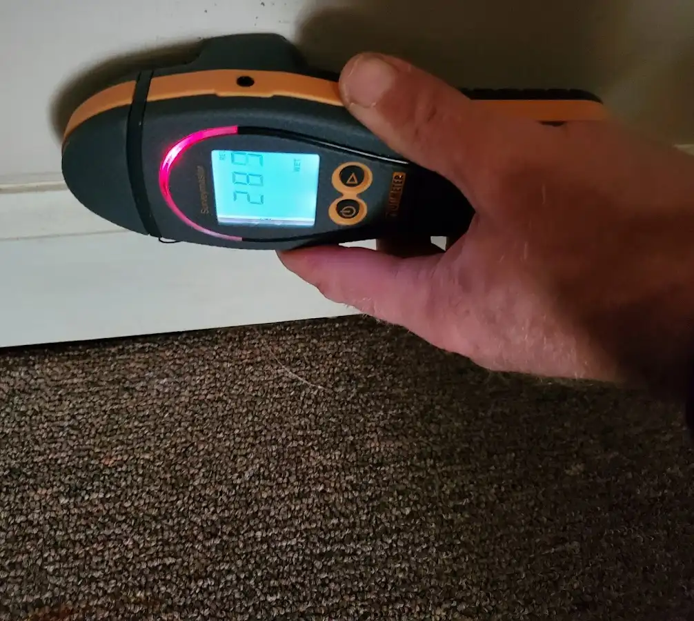 Moisture detection at baseboard during Storm Damage Restoration in Palmview