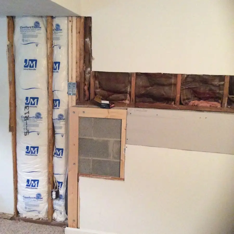 Wall insulation replacement during Odor Removal & Deodorization in Palmview